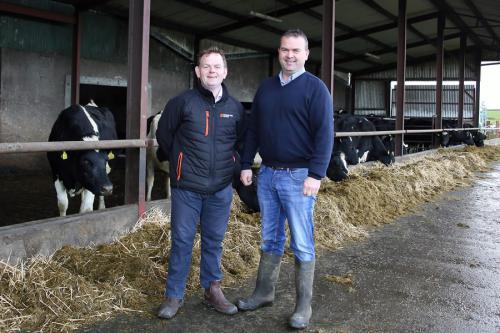 A Farm Life Story: Edmund Tobin, Dairy Farmer, Cashel, Co. Tipperary ...