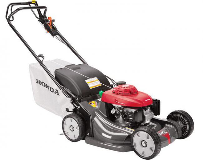Honda Lawnmower-HRX537 HYE